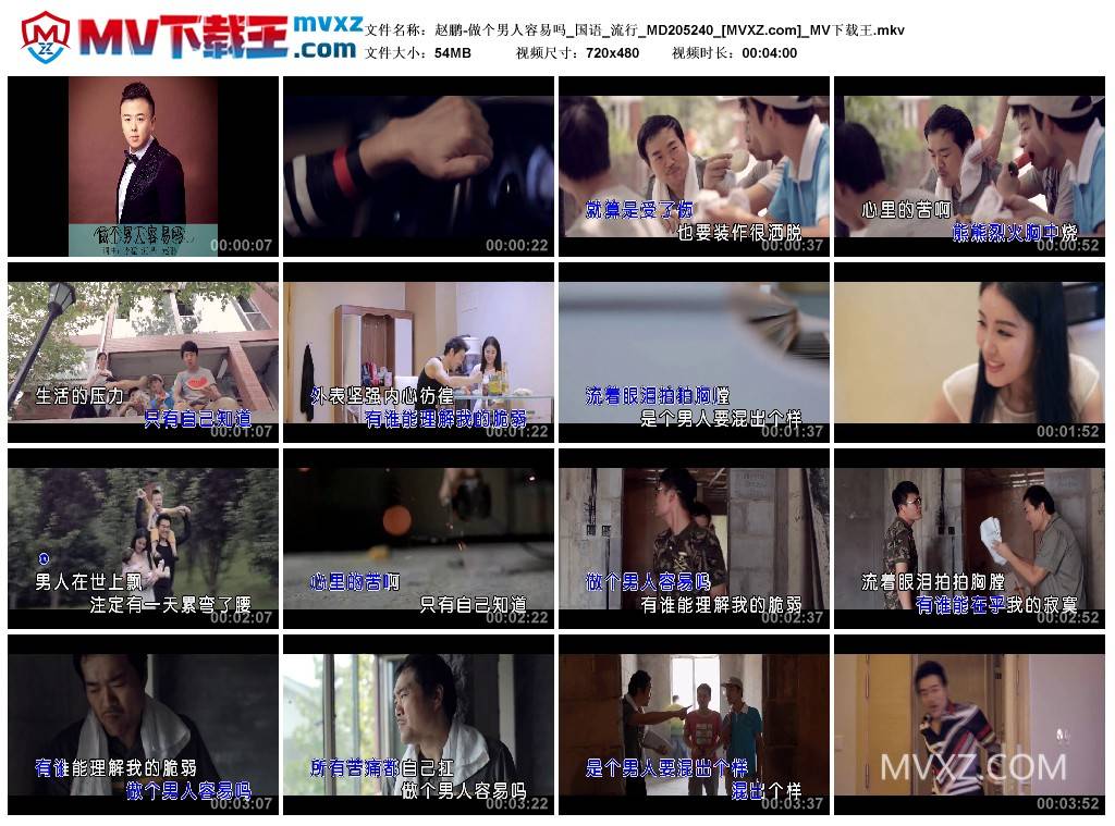 赵鹏-做个男人容易吗_国语_流行_MD205240